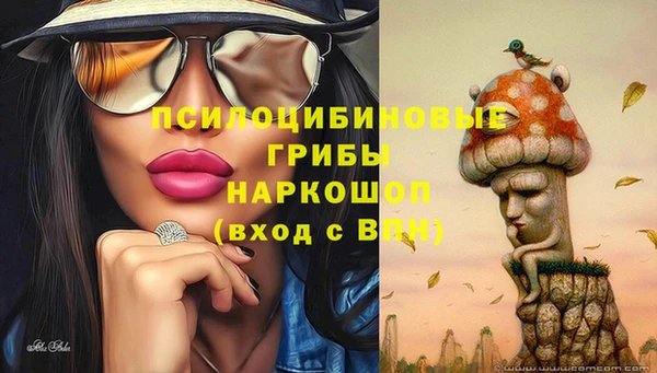 Альфа ПВП Сафоново
