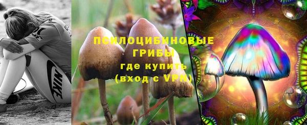 ГАЛЛЮЦИНОГЕННЫЕ ГРИБЫ Алексин
