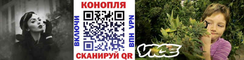 Марихуана гибрид  Сычёвка 